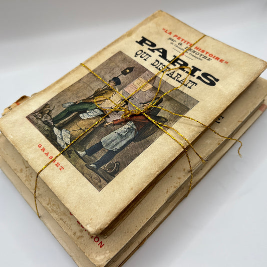 Biblioteka Pasjonata: Francuska Literatura Historyczna Vintage - Zestaw 3 Książek